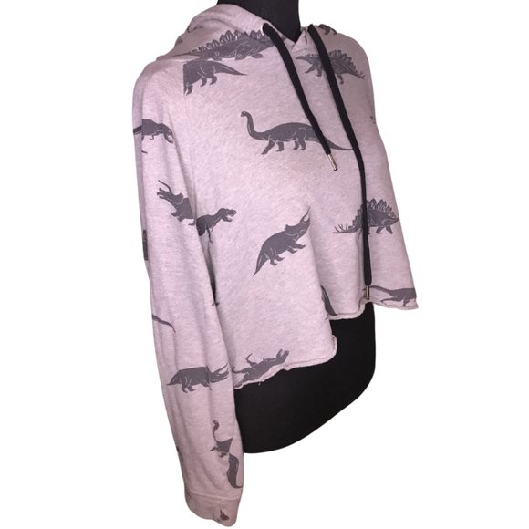Grey Crop Dinosaur Hoodie - Picture 3 of 4